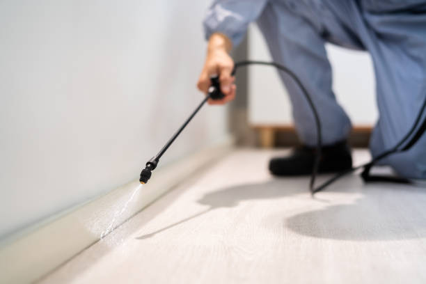 Certified termite inspector examining foundation in Lowry Crossing